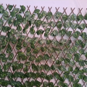 اکاردئونی